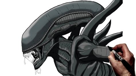 xenomorph dibujo|xenomorph sketch instructions.